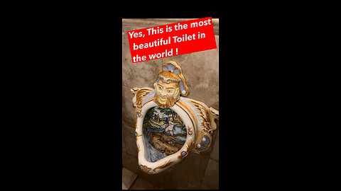 Yes, This is the most beautiful Toilet in the world !