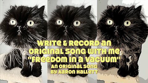 Write & Record an Original Song With Me "Freedom In A Vacuum" an Original Song by Aaron Hallett