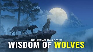 Wisdom Of The Wolves