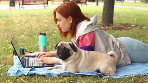 Girl laying and typing on laptop on a lawn with her pug around00