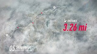 DiRT Rally 2 - RallyHOLiC 11 - Sweden Event - Stage 5