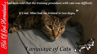 Language of Cats