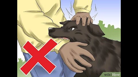 How to defend against a dog. Self defense against dog attack tricks