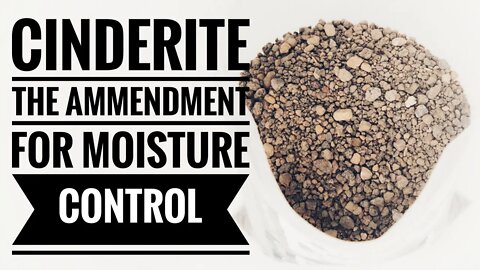 CINDERITE FOR PLANTS & A SOIL AMENDMENT. HOW TO USE IT IN POTTING SOIL & WHY? | Gardening in Canada