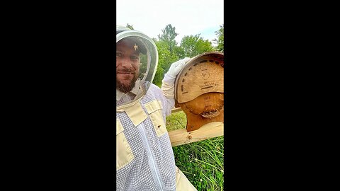 World's First Round & Transparent Beehive