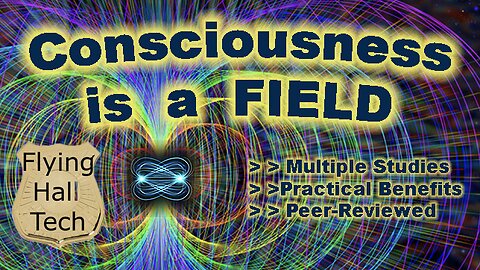 Consciousness is a Field