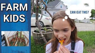 When The Farm Kids Vlog | Eating Things And Some Chores