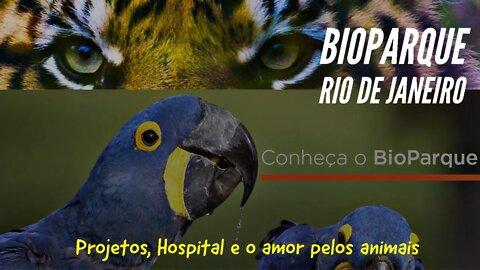 #BIOPARQUE - #Rio de Janeiro - Um novo conceito de #Zoo