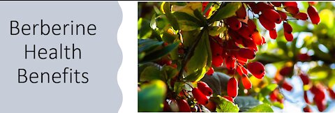 Berberine - Health Benefits