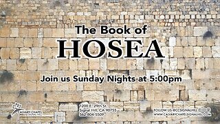 Hosea 8 - Reaping The Whirlwind!