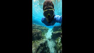 Snorkeling in the springs #snorkeling #florida #diving #springs