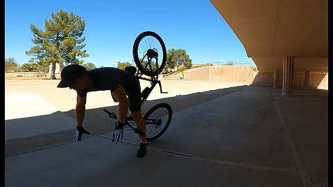 Afternoon under the bridge