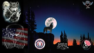 The Patriot Party Podcast and Wolfpack Productions Daily Replays 9pm - 7am EST