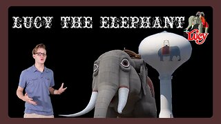 Lucy the Elephant | Your New Favorite Elephant