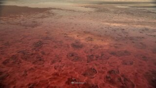 What If You Drank From Lake Natron?