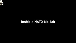The west has had bio-labs in Ukraine [MIRROR]