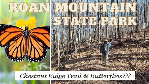 Nature's Hidden Gem: Chestnut Ridge Trail Hike & Butterfly Sanctuary at Roan Mountain State Park