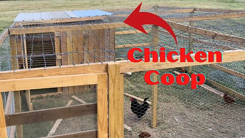 DIY Chicken Coop