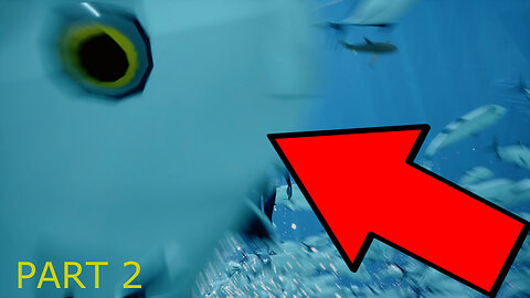 KING OF THE SEA - ABZU Gameplay Part 2