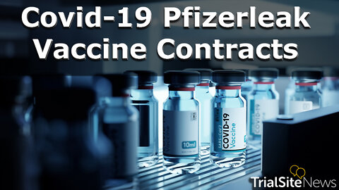 Drugs Politics and Power | The C19 Pfizerleak Vaccine Contracts. Implications For Health In Future