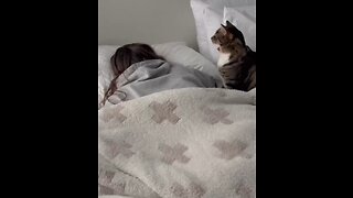 Cat tries to wake up owner