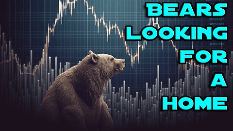 BEARS LOOK FOR A HOME, STOCK "CRASH" DOWN TODAY....