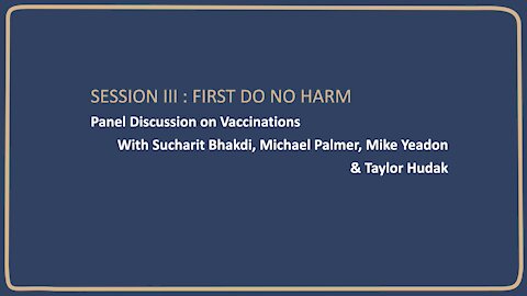 Dr Mike Yeadon, Prof Sucharit Bhakdi, Associate Prof Michael Palmer & Taylor Hudak. 30/7/21