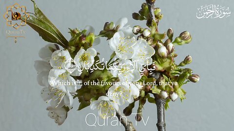 Surah_Rahman___Surah_Rahman_Beautiful_Voice__سورة_الرحمن____Quran_ beautifulvoice English subtitles