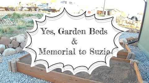 Yes, Garden Beds! & a memorial to Suzie