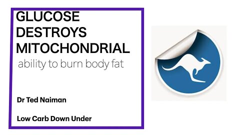 Ted Naiman 3: GLUCOSE DESTROYS MITOCHONDRIALability to burn body fat
