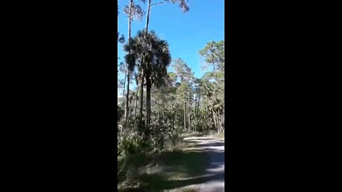 Hillsborough River State Park