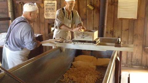 Cheese-makers cut cheese curd the old fashioned way