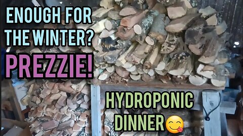 Enough for Winter? PREZZIE! Hydroponic Dinner!