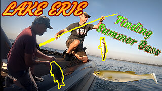 Lake Erie Summer Bass Fishing (Key Observations to Increase Success)