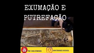 M0RTE E EXUMAÇÃO CADAVÉRICA - O QUE ACONTECE COM O NOSSO CORPO APÓS A M0RTE? CONTEÚDO SENSÍVEL