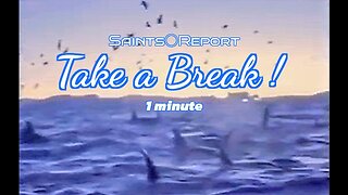 2827. Take a Break | 1 minute 🌊🐋