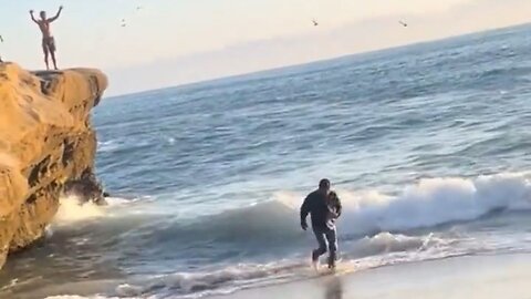 San Diego Beachgoers Welcome A New Arrival From South America