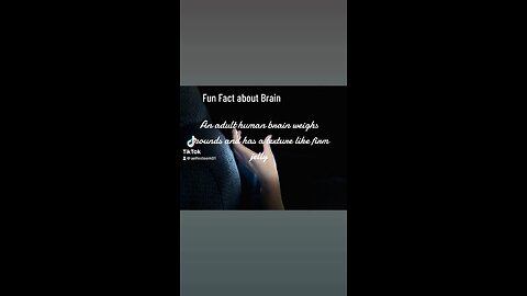 Fun facts about brain