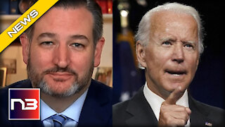 Ted Cruz Sounds the ALARM About What Biden’s Doing With Illegal Aliens