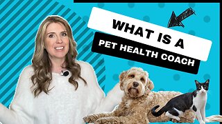What It's Like To Work With A Holistic Pet Health Coach