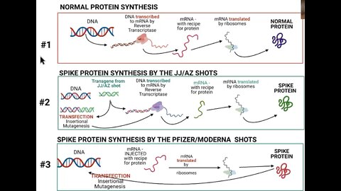 Dr Sherri Tenpenny - How Spike Proteins Work (as in Covid-19)