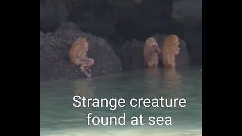 Strange creature found near Cave