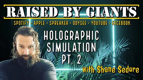 Holographic Simulation Pt.2, Community of Propaganda, What Is Space? with Shane Sedore