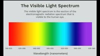 5 things you need to know about LIGHT