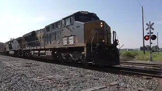 CSX I135 Intermodal Train From Sterling, Ohio August 11, 2023