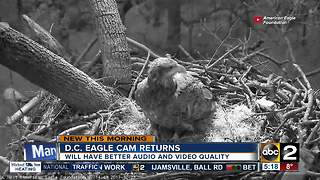 D.C. Eagle camera returns with upgrades