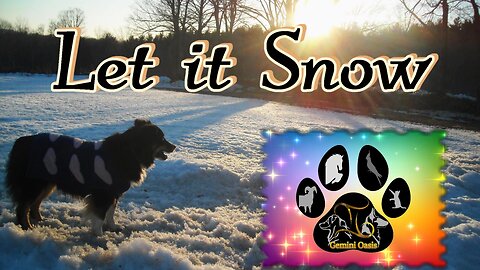 Gemini Oasis: Dogs - Let it Snow