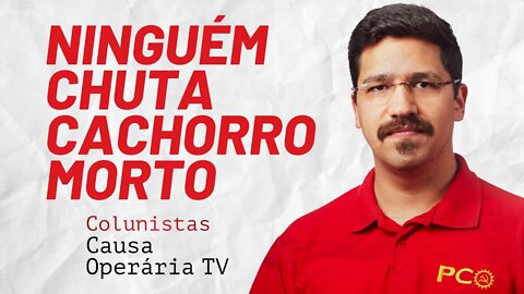 Ninguém chuta cachorro morto - Colunistas da COTV | Rafael Dantas