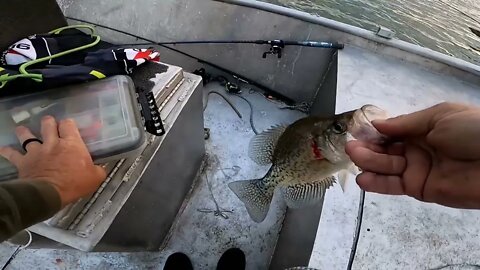 Post spawn crappie, crappie on jigs, suspended crappie, with a bit of bow fishing