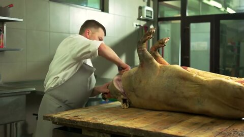 Butcher cutting pigs head at slaughterhouse Slaughterhouse employee splitting a pig carcass using h